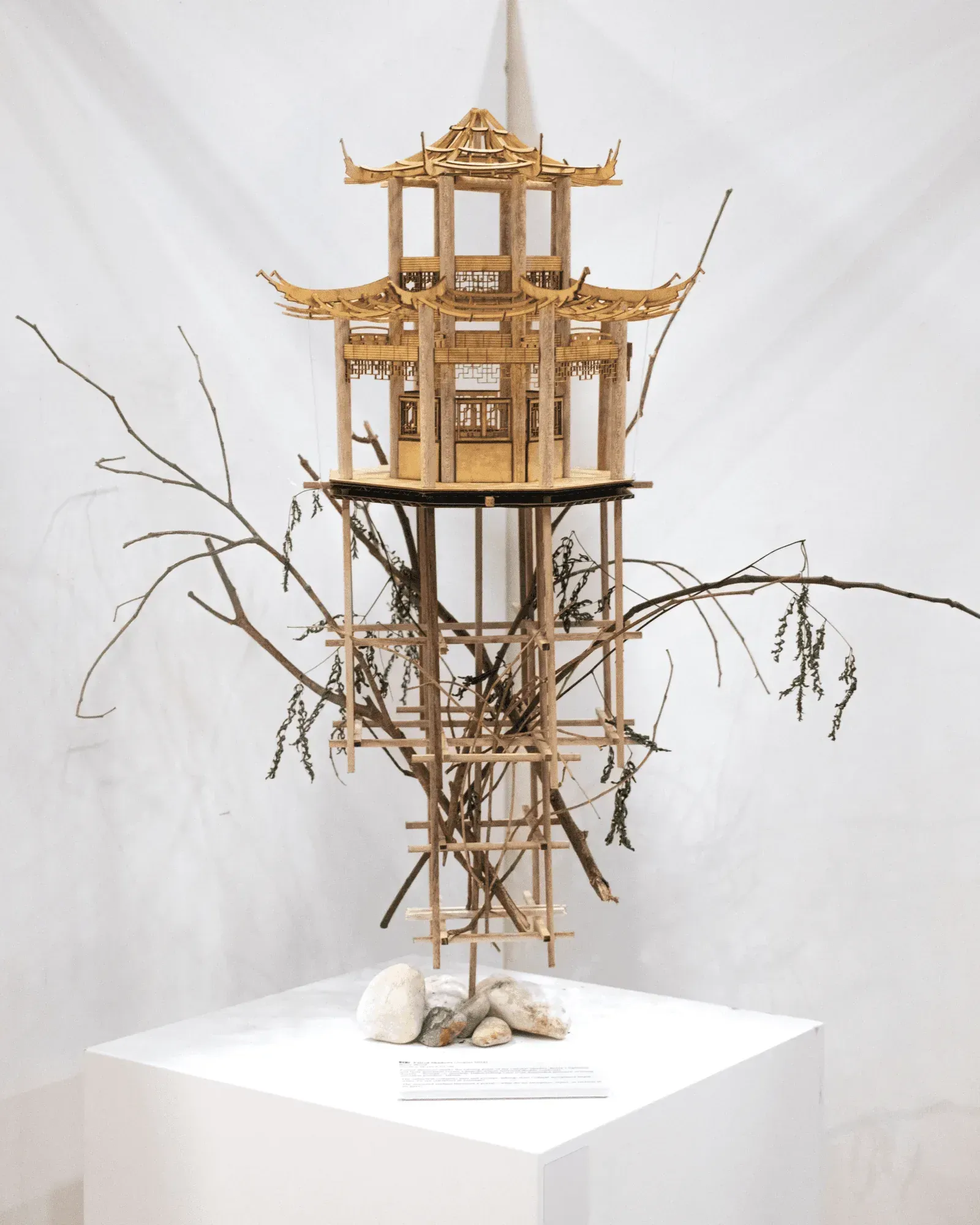對影 Paired Shadows, August 2024, balsa wood, 26 × 26 × 65 cm: a pavilion on stilts with bare branches, on a white plinth